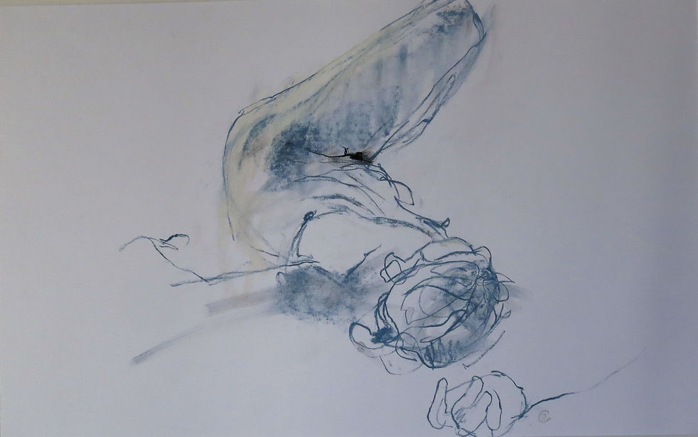 80 x 60 cm pierre noire et pastel