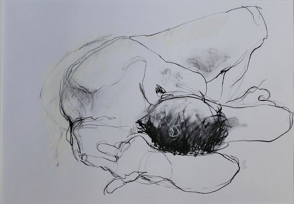 40 x 50 cm pierre noir, graphite et crai