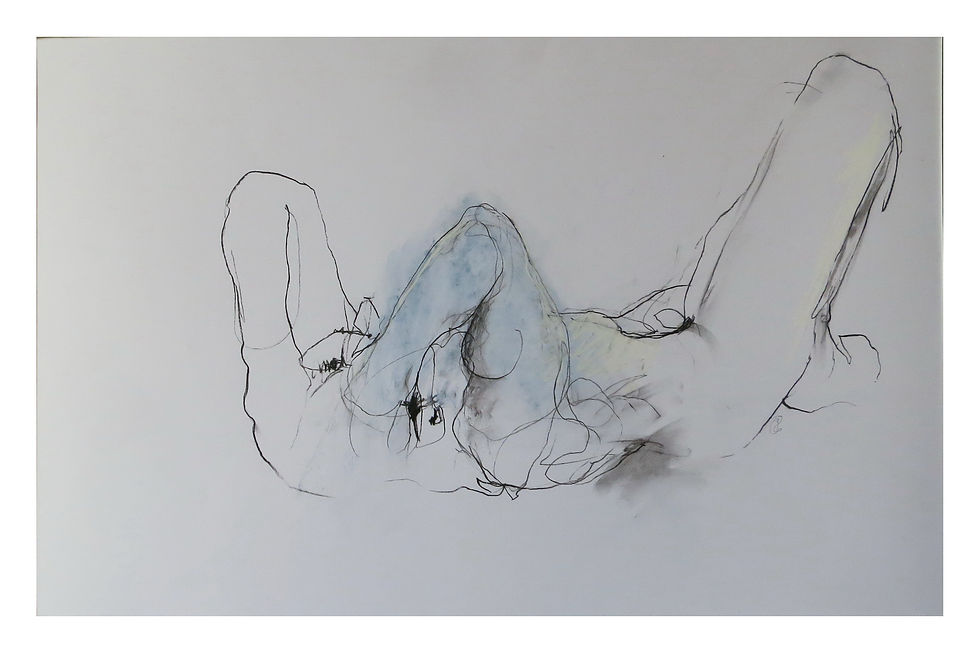 60 x 80cm pierre noire et pastel