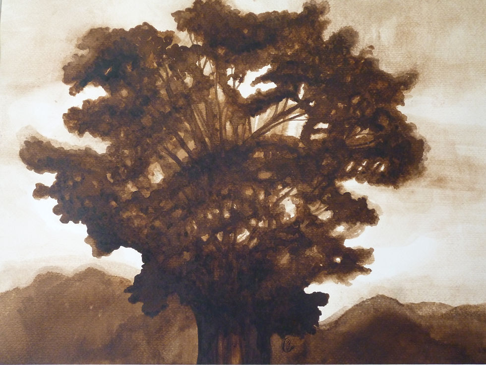41x58cm brou de noix