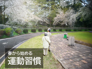 高齢者の筋力トレーニングは自宅以外でもできる?春から始める外での運動習慣