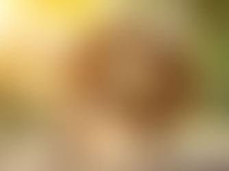 脳梗塞後遺症に悩む方へ――リハビリとデイサービスの大切な役割