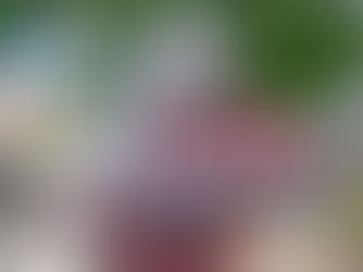 福島県 初出店 「リハニック須賀川」 開店のご報告