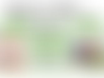 通所介護における訪問鍼灸の役割