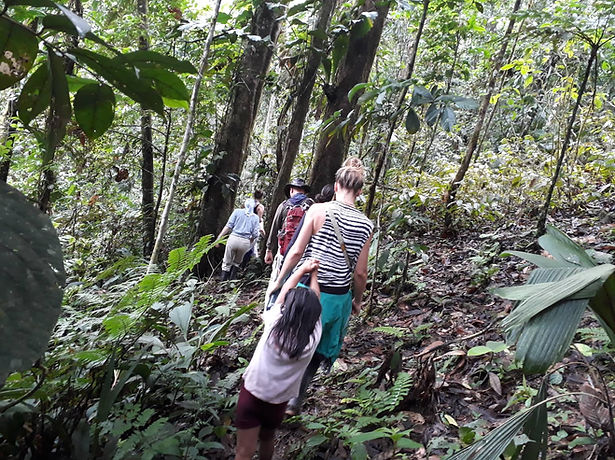 Walking through the rainforest with one of the village children