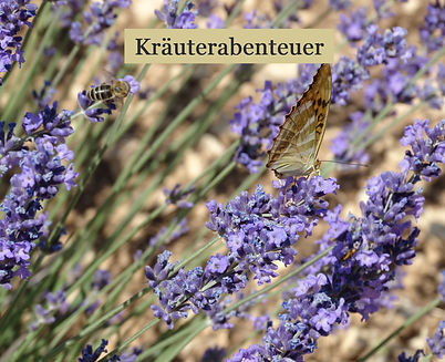 Kurs Naturkosmetik Kräuterabenteuer