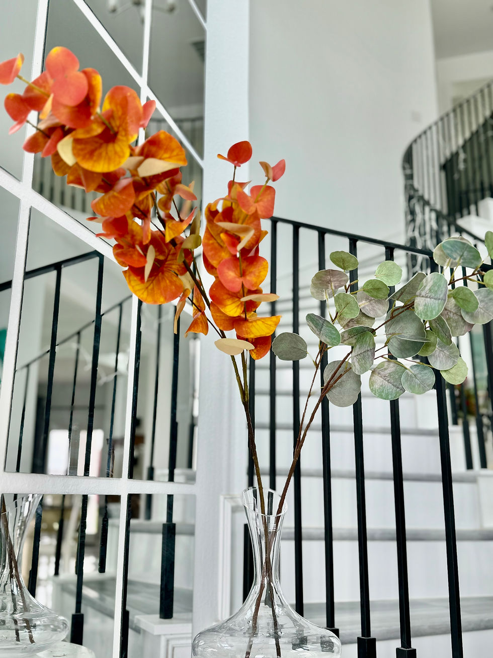 Thumbnail: Eucalyptus fall