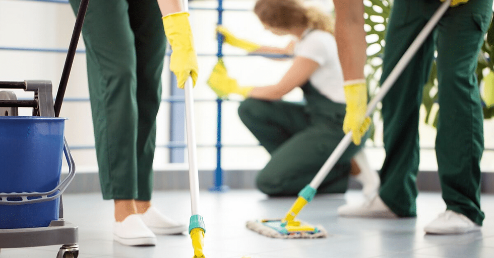 Thumbnail: Basic Cleaning