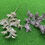 Thumbnail: Artemisia annua