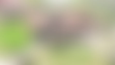全A頂級學區,頂級豪華裝修,頂級湖景,有錢人的頂級享受－美國地產頻道