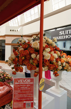 Xnip2026-03-25_20-15-42_edited