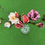 Thumbnail: Rosa chinensis medium
