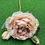 Thumbnail: Peony large
