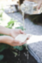Thumbnail: Loofah Sponge