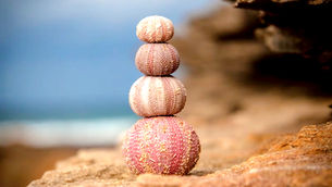 Emotional Helpers: Unlocking the Key to Achieving Your Goals