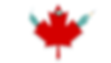 1 in 20 Canadian Deaths Were From Medically-Assisted Suicide in 2023