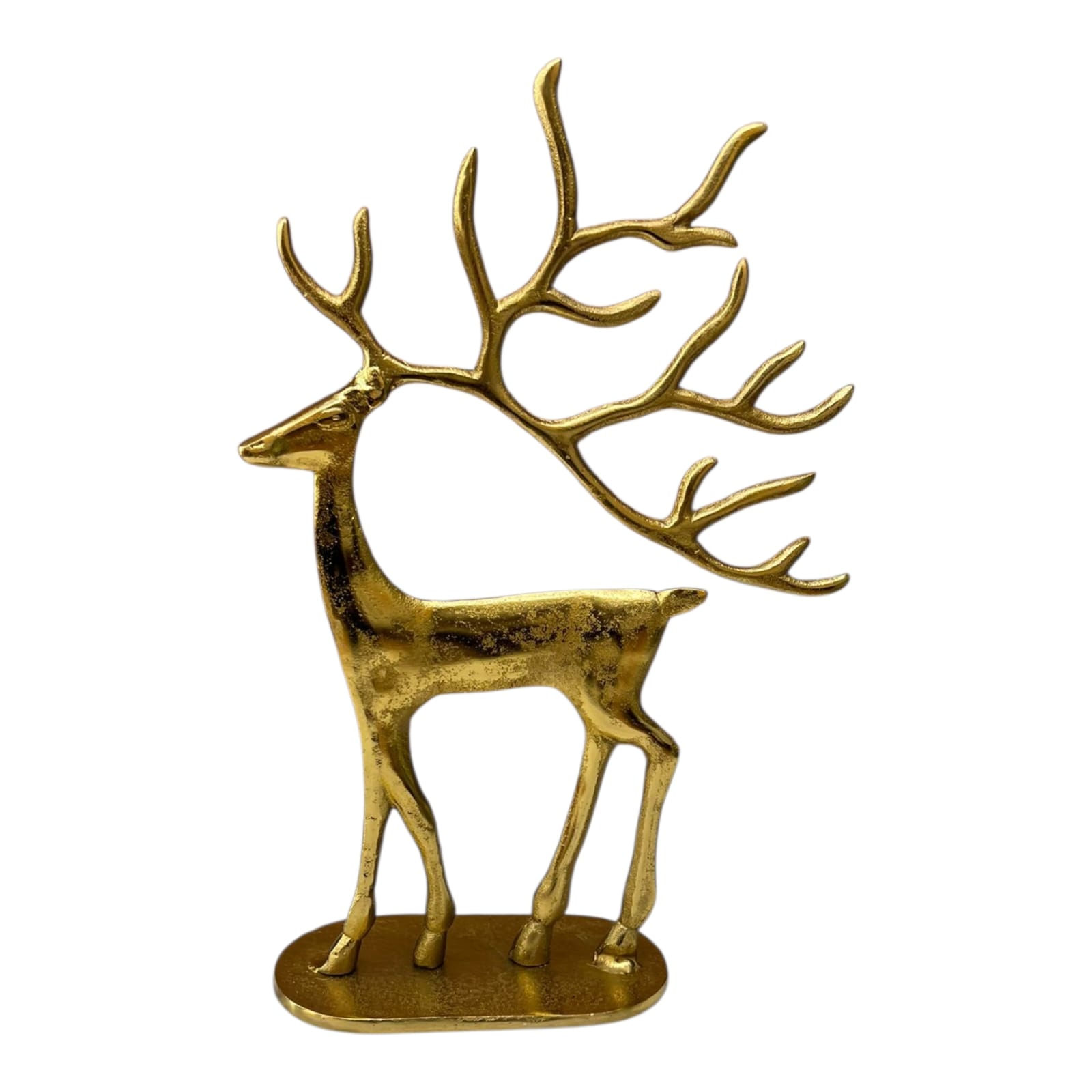 אייל יציקה זהב  40 ס"מ