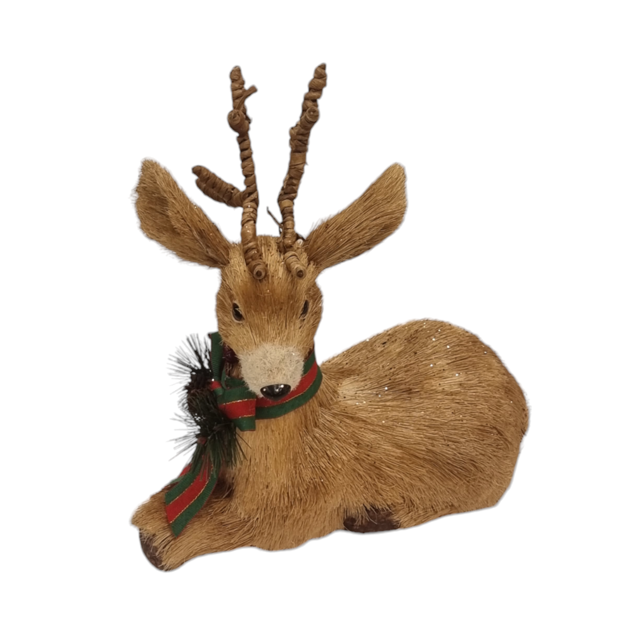 אייל שוכב לחג המולד