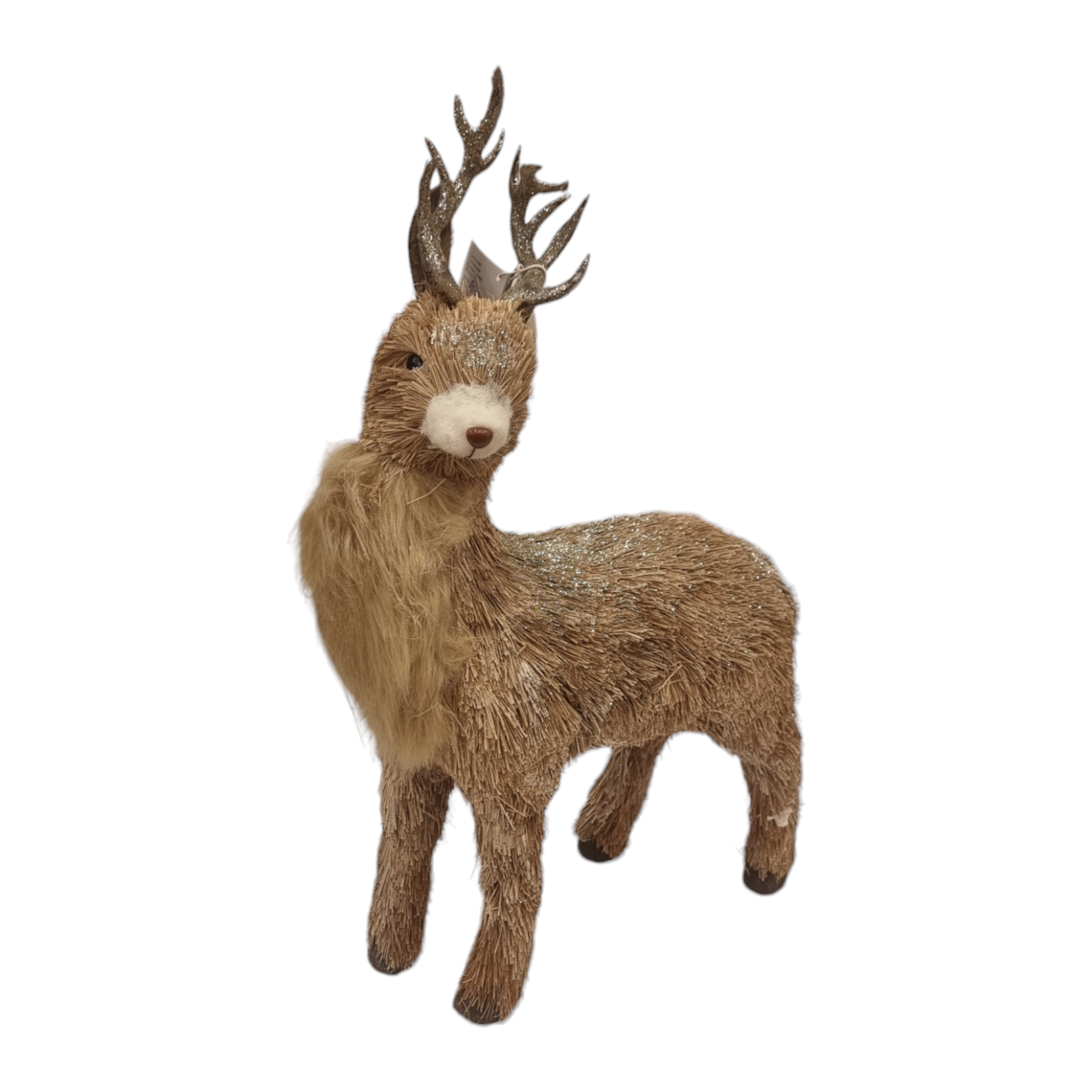 אייל לחג המולד