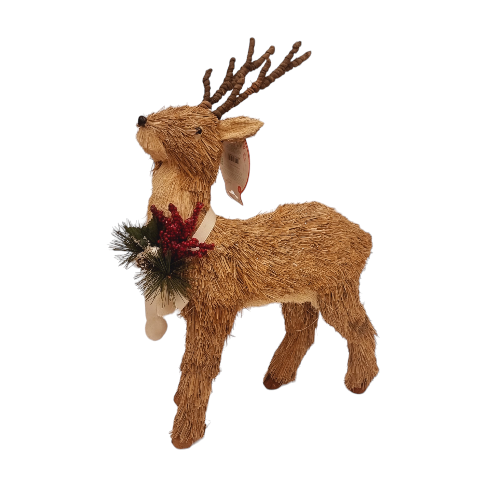 אייל לחג במולד