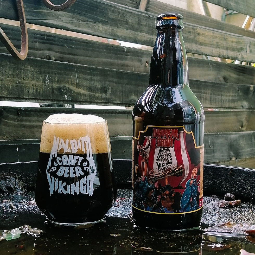 Miniatura: Pack Drakkar Stout