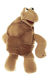 W123 - Sammy the Turtle.jpg