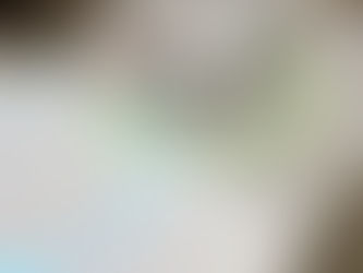 Mardi 23 Février Conférence Midi SDG