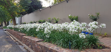 P'town North  (1).jpg