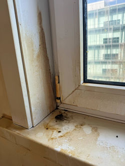 b53a4f67-5ddc-4377-abe7-a83f782ab1df