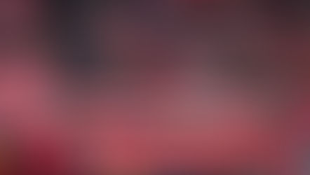 THE VOICE OF THE TERRACES