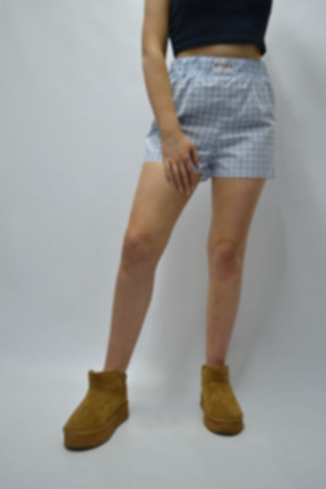 Baby Blue Gingham Boxer Shorts