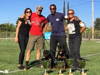 Von Elite's Echo VP1 and Best Female Puppy!