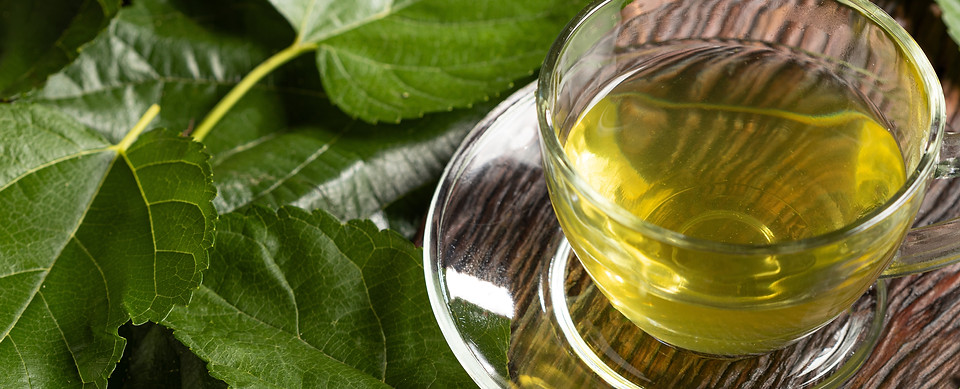 Mulberry Tea Glass cup of mulberry leaf tea.jpg