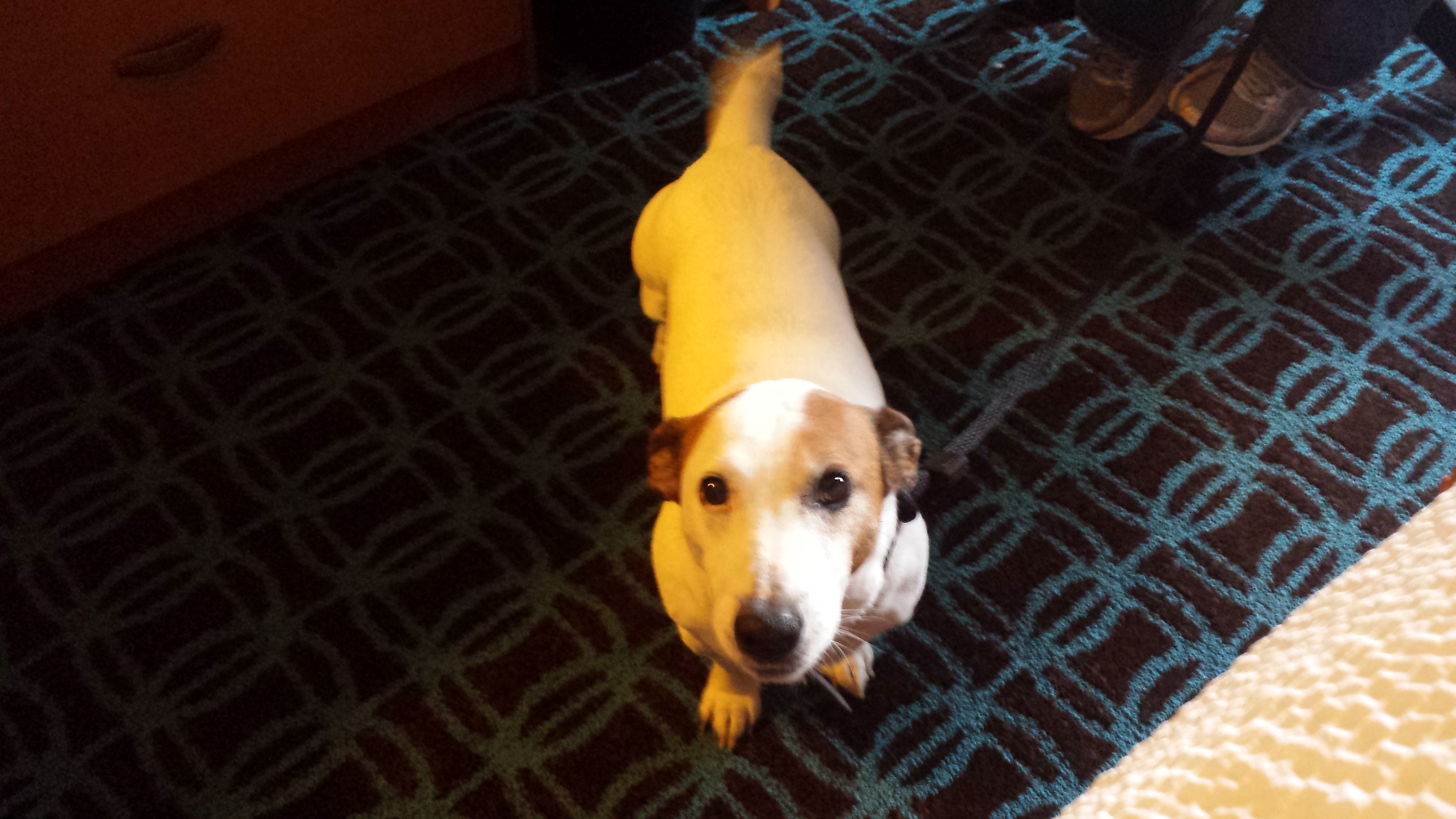Samson