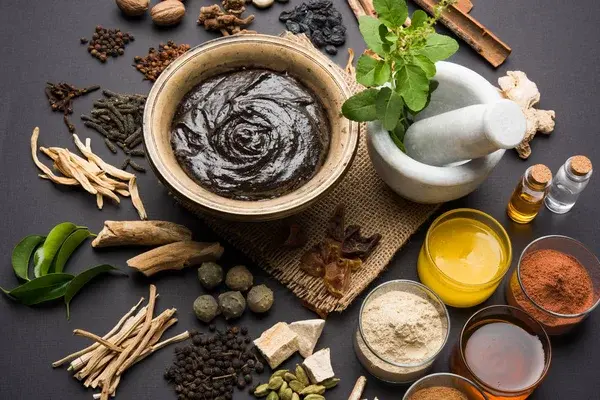Introduction to Ayurveda