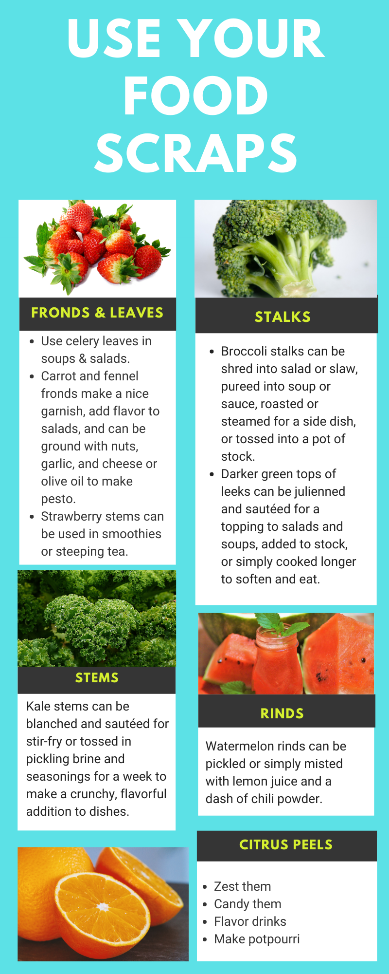 How to Use Food Scraps