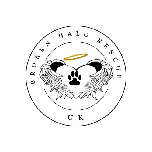 brokenhalorescue.co.uk