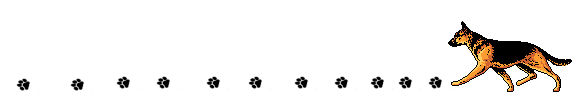 dawg gif