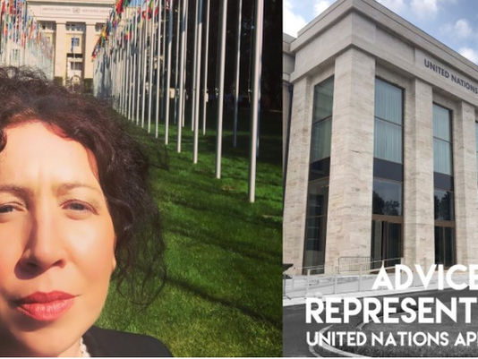 United Nations Complaints for wrongful imprisonment, arbitrary detention and human rights violations