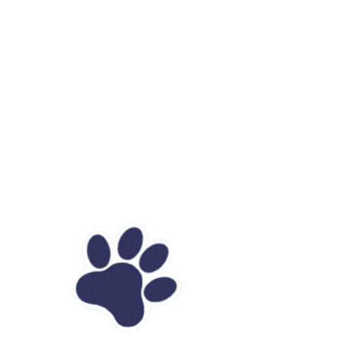 coloured pawprints.gif