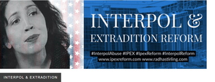 US urged to promote democratic leadership in Interpol