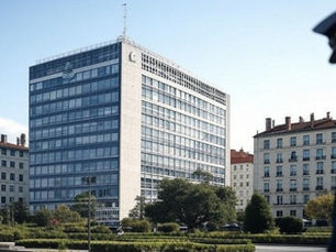 Stirling Secures Interpol Red Notice Removal and Supports Immigration Visa with Expert Testimony