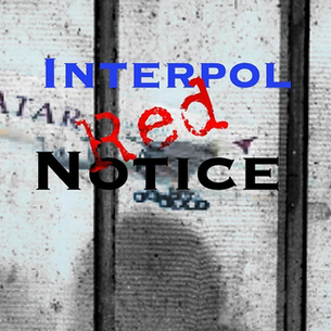 Safeguarding International Travel: Interpol Prevention