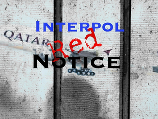 Safeguarding International Travel: Interpol Prevention