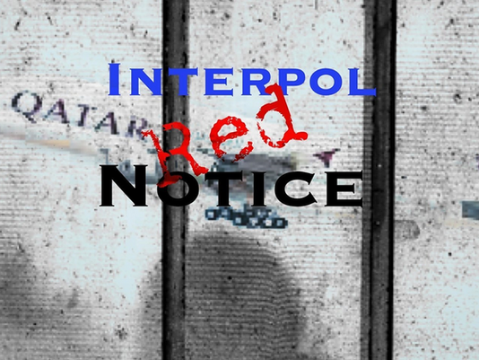 Safeguarding International Travel: Interpol Prevention