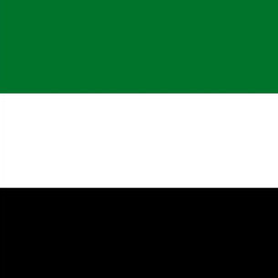 Radha Stirling statement on Ghafoor arrest in Dubai