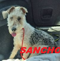 Sancho
