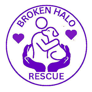 brokenhalorescue.co.uk