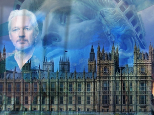Assange: NGO calls for extradition treaty review