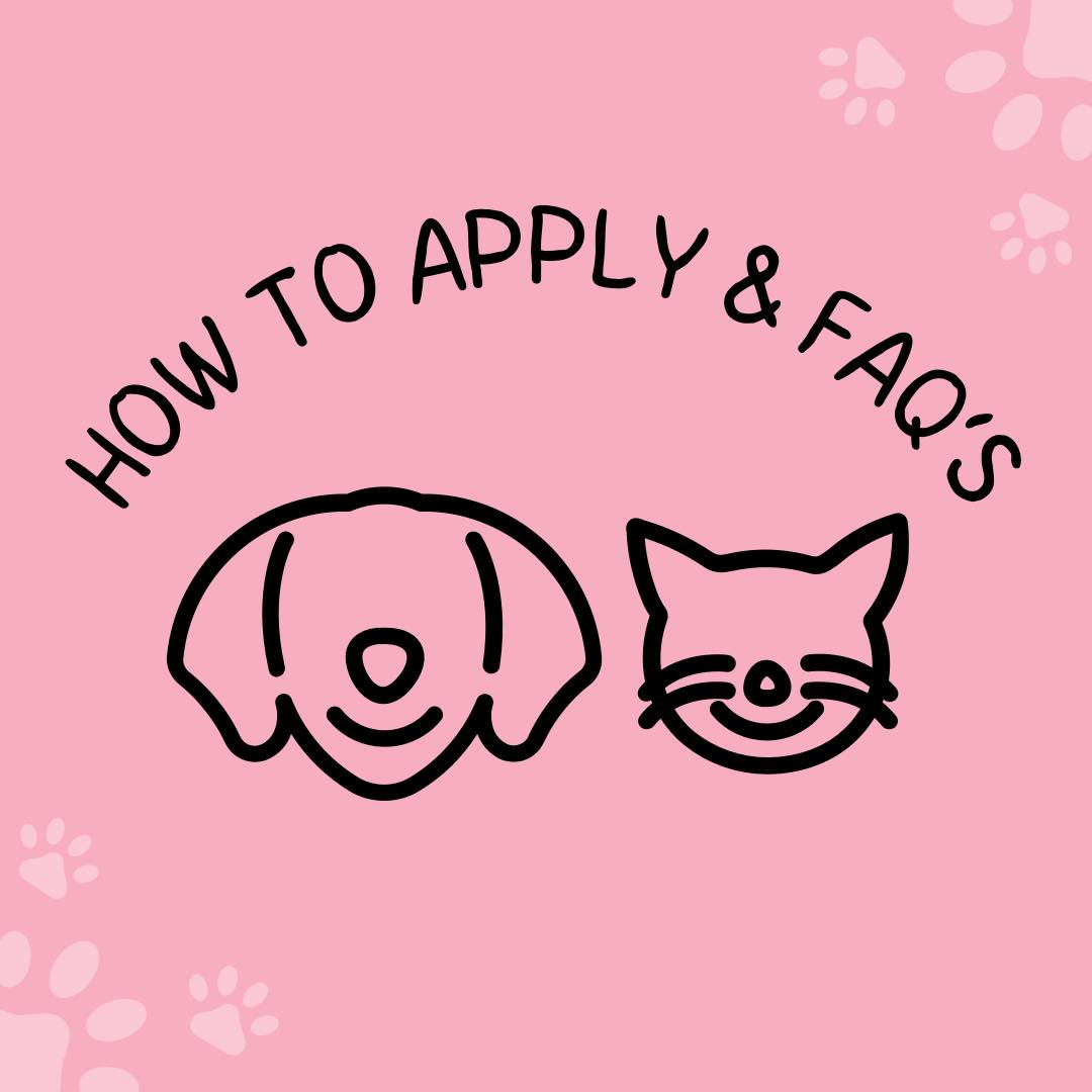 how to apply.jpg